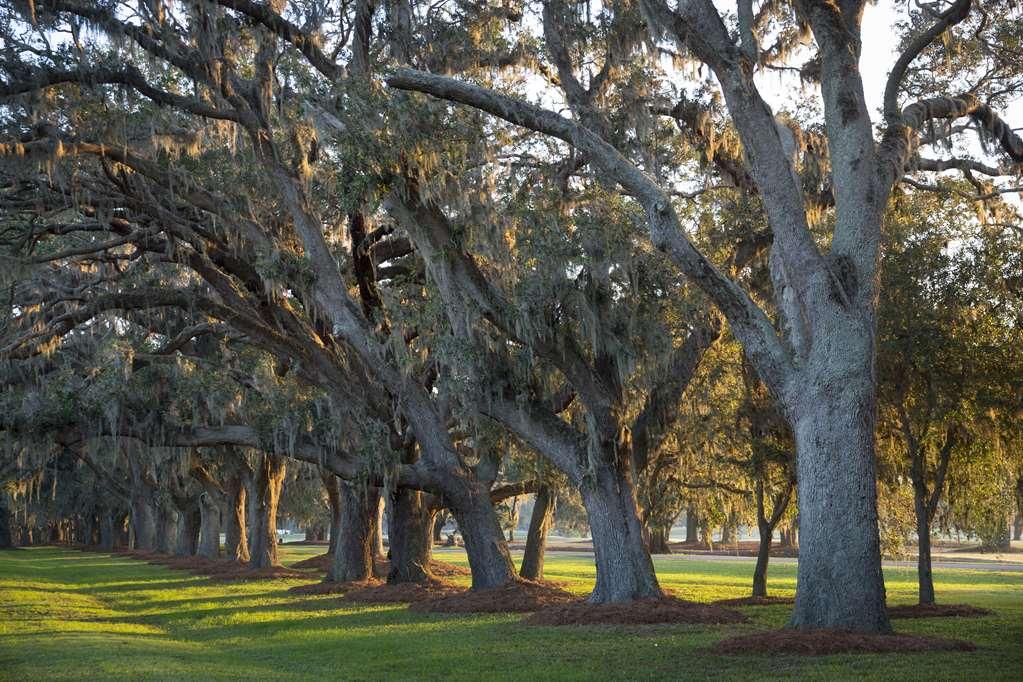 The Lodge At Sea Island St. Simons Island Facilidades foto